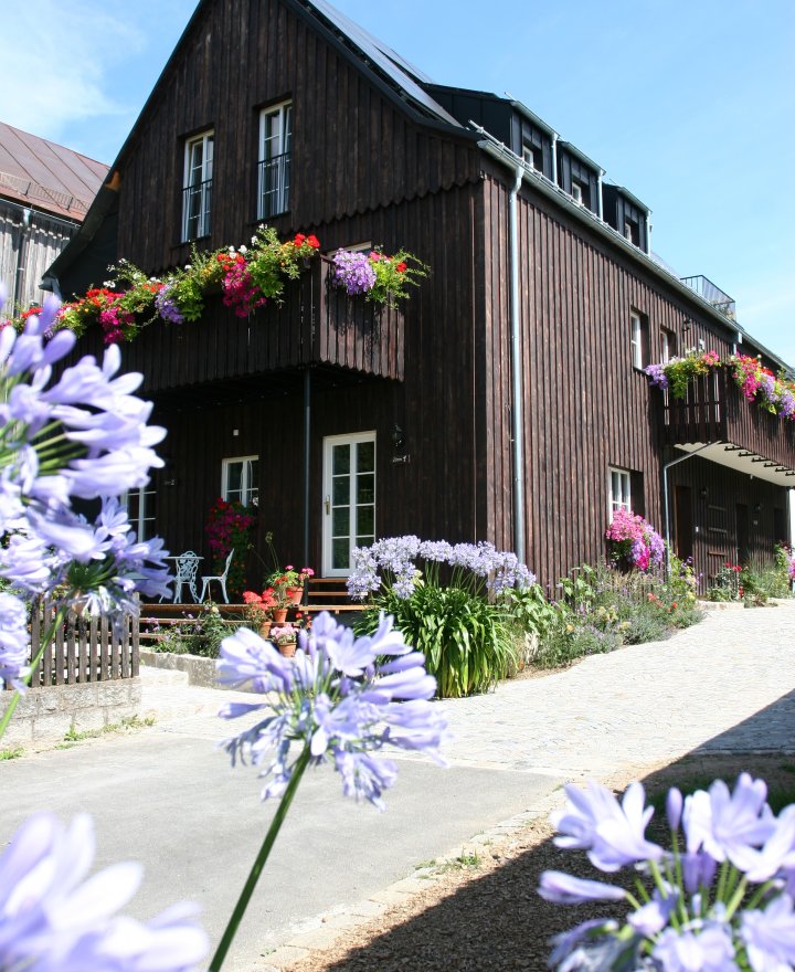 Houten gevel van een boutique hotel met bloembakken en agapanthus in de tuin, door cestsjoukje